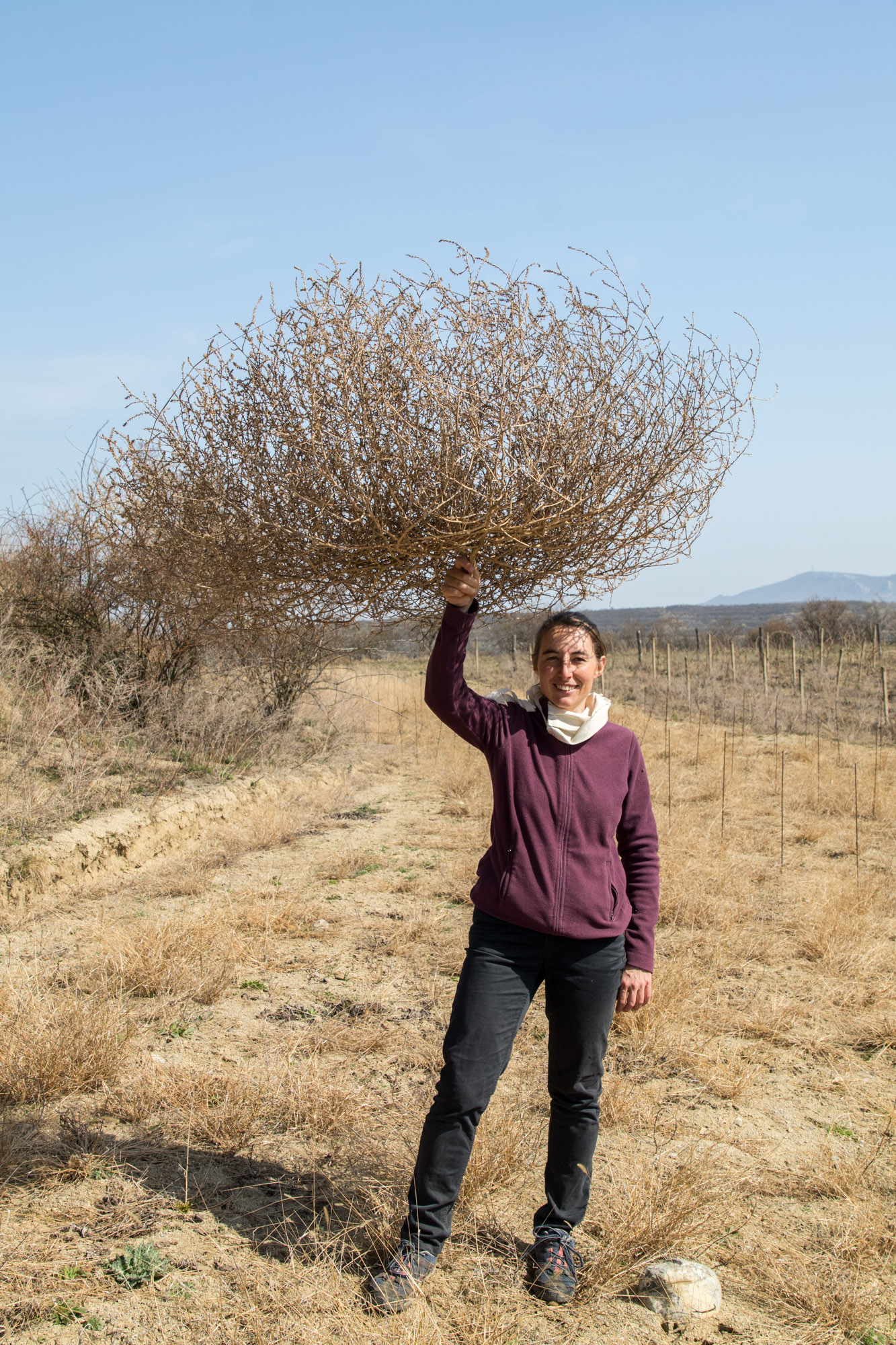 0K6A6004_Helenka, Zadni hreben Dunajovickych kopcu(1)